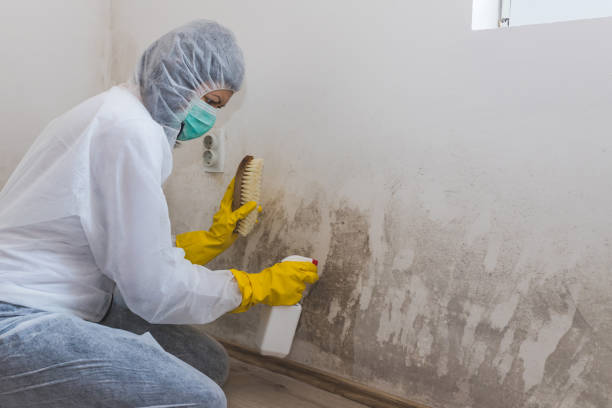 Best Post-Remediation Verification Testing  in Marlow, OK