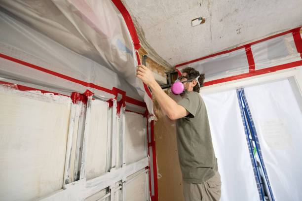 Best Mold Damage Restoration  in Marlow, OK
