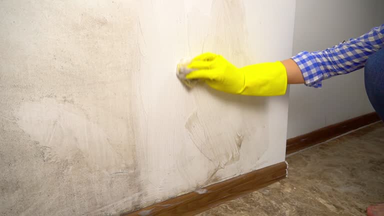 Best Airborne Mold Testing  in Marlow, OK