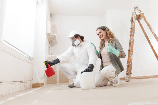 Best Crawl Space Mold Remediation  in Marlow, OK