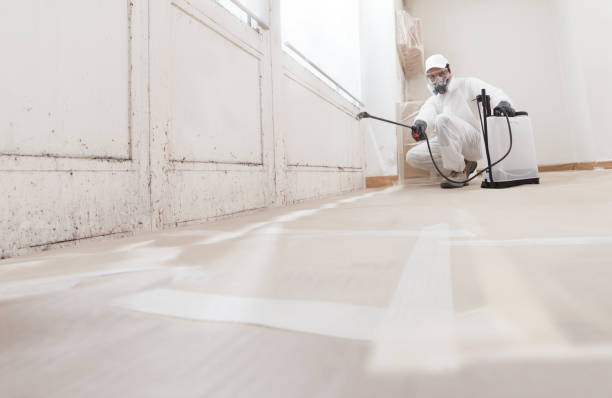 Mold Odor Removal Services in Marlow, OK