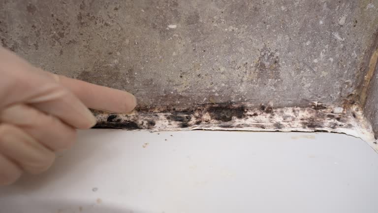 Best Post-Construction Mold Inspection  in Marlow, OK